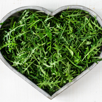 Rucola