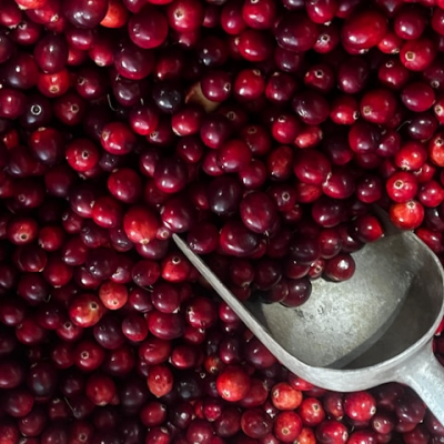 Preiselbeeren